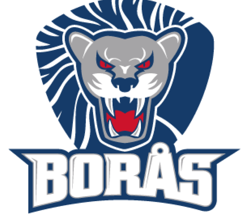 Borås HC